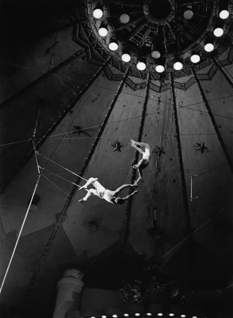 The Night Circus, Circus Aesthetic, Circus Sideshow, Trapeze Artist, Dark Circus, Circus Performers, Night Circus, Circus Art, The Greatest Showman