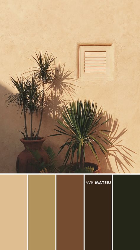 Color Palette For Photography, Rustic Color Pallete, Cottagecore Colour Palette, Rustic Wall Colors, Color Combinations Aesthetic, Aesthetic Colour Combinations, Architecture Palette, Vintage Color Background, Pallet Background