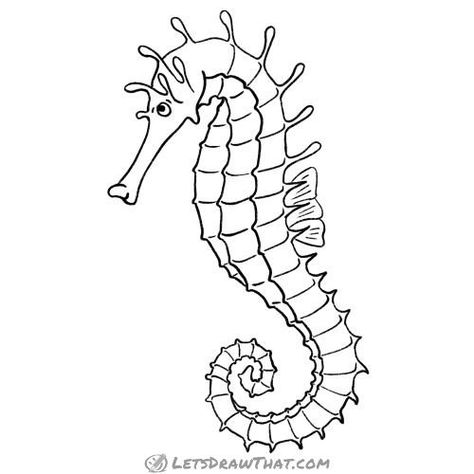 Learn how to draw a seahorse. A step by step tutorial to draw an awesome looking seahorse including easy to follow steps to draw the tricky body pattern! Seahorse Drawing Easy, Draw A Seahorse, Seahorse Outline, Seahorse Crafts, Seahorse Drawing, Beach Tattoos, Artistic Drawings, Vinyl Decals Car, Seahorse Tattoo