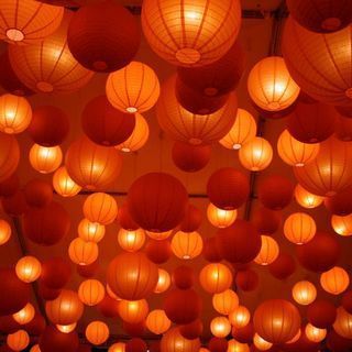 Tanglung Cina, Chinese Lanterns Plant, Aesthetic Orange, Orange Party, Rainbow Aesthetic, Red Lantern, Orange Walls, Orange You Glad, Orange Aesthetic