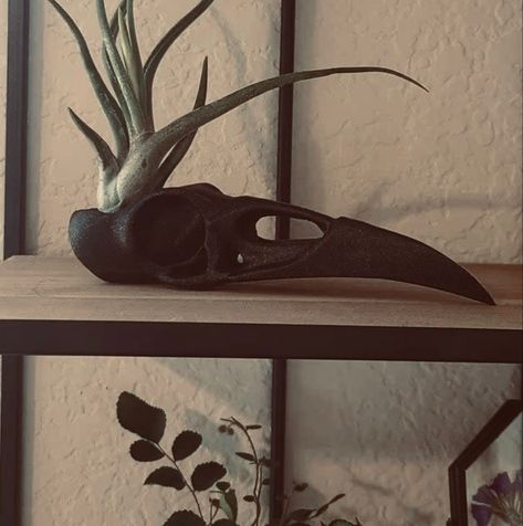 Spooky Plant, Moody Maximalism, Gothic Raven, Skull Planter, Spooky Home Decor, Crow Art, Raven Skull, Bird Skull, Witch Decor