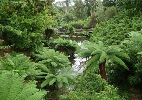 Lost Gardens Of Heligan, Kitchen Gardens, Lost Garden, Temple Gardens, Wanderlust Photography, Cornwall England, Exotic Places, Lose Yourself, Beautiful Places On Earth