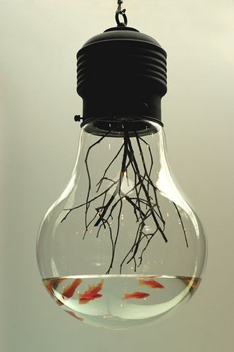 Edison          15 X 15 X 30 (inch)          Branch, Goldfish, Glass, Steel. by Function2.com, via Flickr Light Bulb Fish, Diy Light Bulb, Diy Lampe, Modern Metropolis, Cool Fish, Aquarium Design, Fish Bowl, Diy Lighting, Goldfish