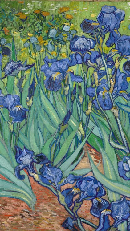 Van Gogh Iphone Wallpaper, Phonecase Ideas, Van Gogh Wallpaper, Van Gogh Landscapes, Van Gogh Irises, Vincent Van Gogh Art, Arte Van Gogh, Monet Paintings, Van Gogh Paintings