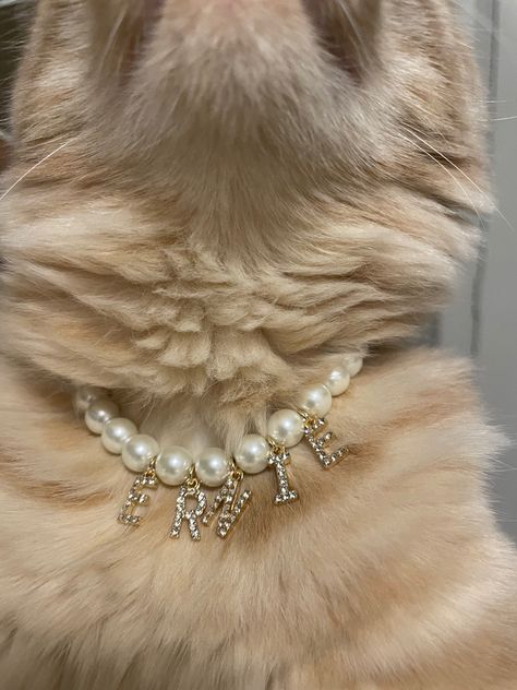 Cat Aesthetic Accessories, Cat Accessories Aesthetic, Cat Accessories Products, Diy Cat Collar, Cat Collar Aesthetic, Aesthetic Cat Accessories, Cat Collars Aesthetic, Cute Cat Collars, Cat With Necklace