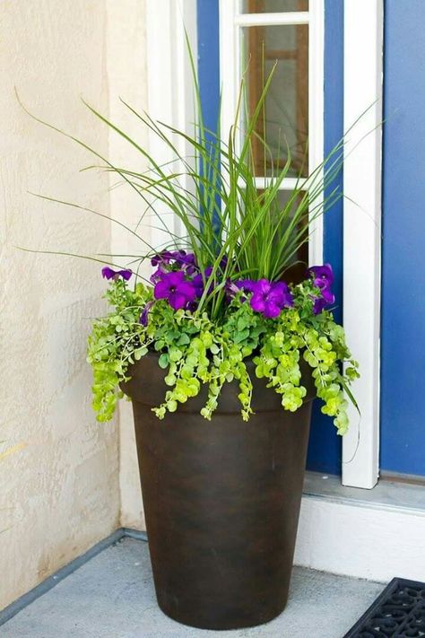 Learn about what you should consider before getting a front door planter #metalfrontdoorplanter Front Porch Flower Pots, Front Door Planters, Front Porch Plants, Front Porch Flowers, Front Porch Planters, Summer Planter, Door Planter, Spring Planter, Beautiful Landscaping