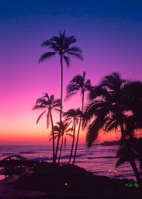 coiour-my-world: “Kauai sunset, Hawaii ” Tropical Pictures, Natural Pic, Sunsets Hawaii, Palm Trees Wallpaper, Purple Sunset, The Setting Sun, Broken Hearts, Beach Wallpaper, Amazing Sunsets