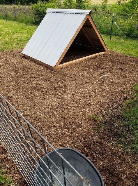 Simple Pig Pen Ideas, Easy Goat House Diy, Mini Pig Enclosure Outdoor, Pig Hut Ideas, Goat Hut Ideas, A Frame Goat House, Goat See Saw, Outdoor Pig Pen Ideas, Pig Farrowing House