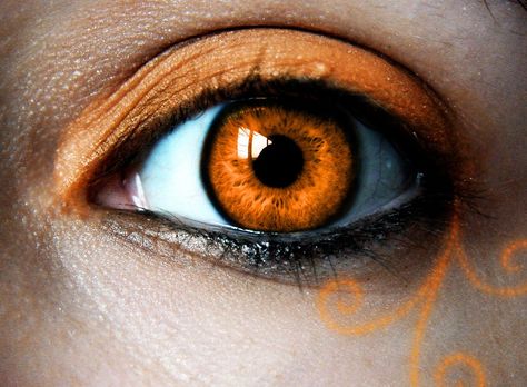 Orange Eyes Aesthetic, Orange Eye Color, Wildfire Druid, Character Attributes, Eye Types, Eye Color Chart, Orange Eyeshadow, Orange Eyes, Amber Eyes