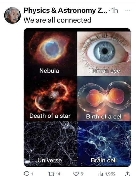 Astrophysics Aesthetic, Spacecore Aesthetic, Astronomy Facts, Psychological Facts Interesting, Astronomy Science, Cool Science Facts, Pretty Star, E Mc2, Quantum Physics