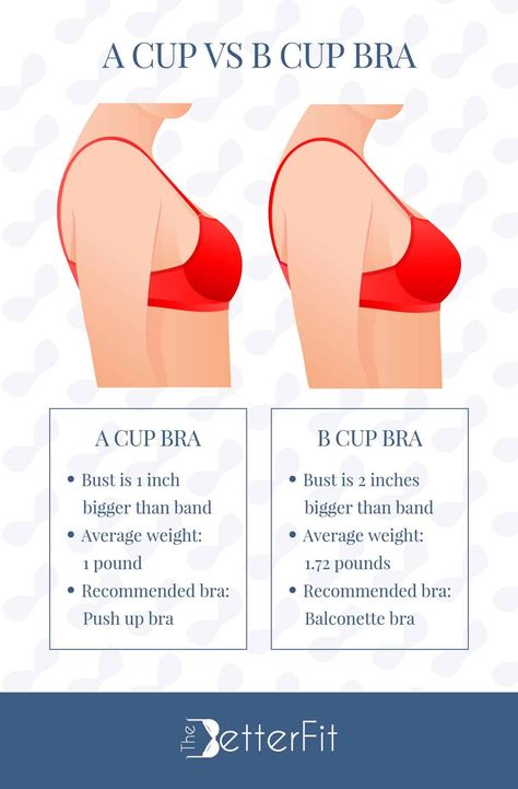 30b Cup Size, Bra Cup Size Comparison, B Cup Bra, 36dd Cup Outfits, Bra For Small Cup, B Cup Size Examples, Bra Size Chart Cups, 32b Cup Size, 32b Bra Size