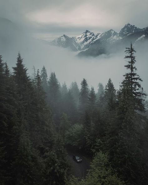 Pnw Aesthetic, Twilight Woods, Oregon Nature, Conifer Forest, Tapestry Aesthetic, Holy Mountain, Mountains Aesthetic, Ethereal Aesthetic, Forest Wallpaper