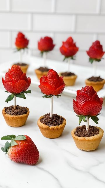 Stephanie Niemis on Instagram: "🌹Flower Pot Sugar Cookies → A strawberry rose in a sugar cookie flower pot filled with dirt made of chocolate mousse and cookie crumbs.🌹 ⭐️ Follow for more simple, healthier, fun recipes ⭐️ My kids were pretty obsessed with these, and I was thinking they would be a fun Mother’s Day dessert! The strawberry roses look fancy, but they’re actually super easy to make. So many of the ingredients I used came from @‌ifiprovisions. If you’ve been following me for awhile, you know I love this company! Feel free to use my code HEALTHYHOLME to save 15% site-wide! ✨ Flower Pot Sugar Cookies ✨ (makes 12) Sugar Cookie Ingredients: - 2 cups @‌ifiprovisions White Almond Flour - 2 tbsp honey - 2 tbsp coconut oil, melted - 1 tsp @‌ifiprovisions Pure Madagascar Vanilla Extr Essen, Flower Desserts, Mothers Day Desserts, Pot Cookies, Strawberry Rose, Strawberry Roses, Tea Party Food, Gourmet Desserts, Fun Recipes