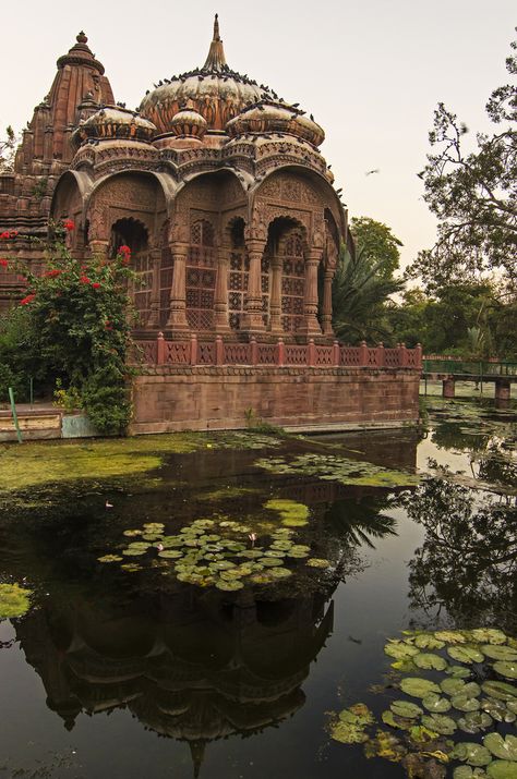 Padi Diving, Jodhpur Rajasthan, India Travel Places, Indian Garden, India Architecture, Ancient Indian Architecture, Amazing India, Indian Architecture, Koh Tao