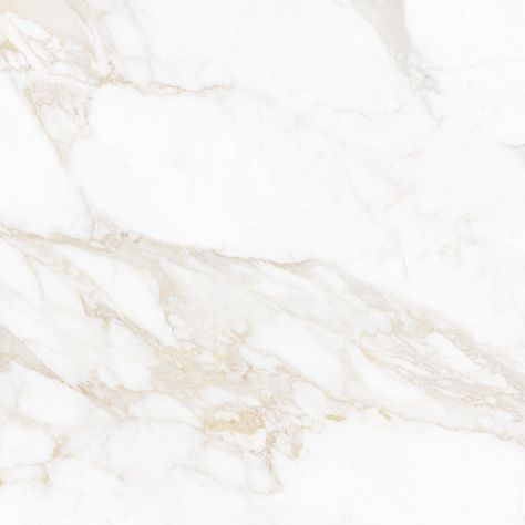 Quartzite Countertops Kitchen, Montgomery Homes, Calacatta Oro, Master Bath Shower, Quartz Kitchen Countertops, Marble Tile Floor, Stone Kitchen, Porcelain Mosaic Tile, Travertine Tile