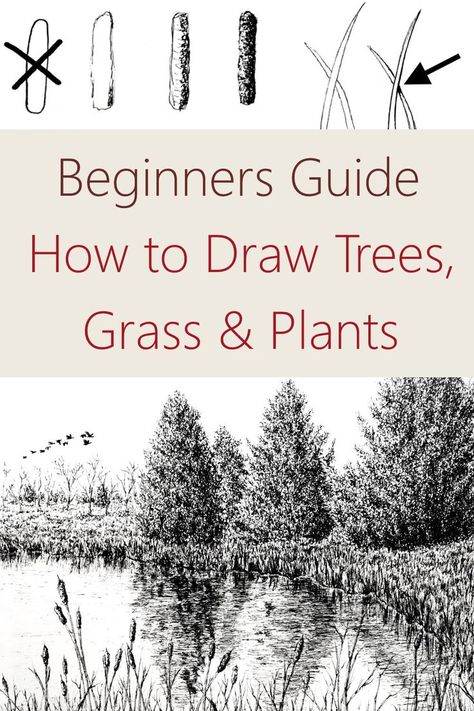 How to draw trees Learn To Draw Landscape, Tree Pen Sketch Simple, Drawing Foliage Tutorial, How To Sketch Plants, How To Draw Realistic Trees, Backgrounds To Add To Drawings, Beginner Landscape Drawing, Landscape Sketch Tutorial, Sketching Trees For Beginners