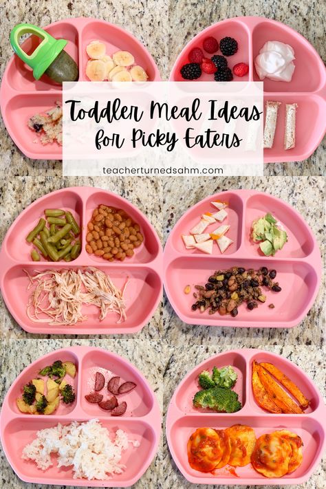 Meal Ideas For Picky Eaters, Toddler Meals Picky, Healthy Lunch Ideas For Kids, Lunch Ideas Kids, Kids Lunch Ideas, Toddler Picky Eater, Toddler Meal Ideas, Picky Toddler Meals, Children Food