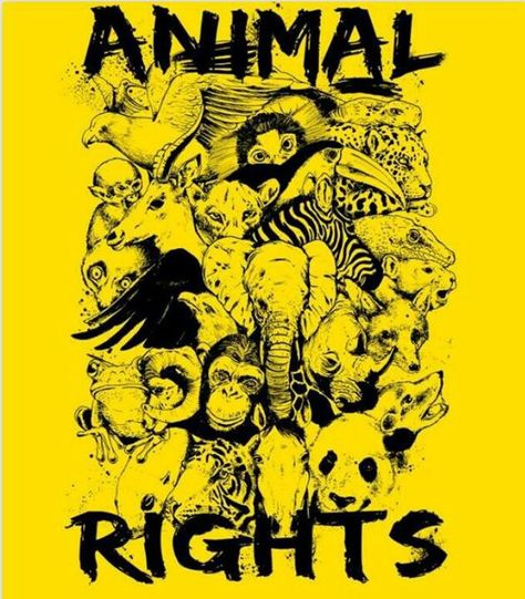 Liberation Art, Tattoo Animal, Animal Activist, Animal Liberation, Stop Animal Cruelty, Vegan Animals, Rare Animals, Pet Rats, Tree Tattoo