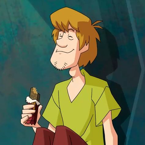 Shaggy Mystery Incorporated, Shaggy Icons Scooby Doo, Shaggy Rogers Icon, Scooby And Shaggy High, Shaggy Scooby Doo Icons, Shaggy Scooby Doo Aesthetic, Shaggy Pfp, Shaggy Character, Shaggy Rogers Aesthetic