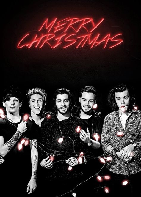 One Direction Christmas, One Direction Tour, One Direction 2014, Cave Images, Where We Are Tour, One Direction Niall, One Direction Wallpaper, Midnight Memories, One Direction Imagines