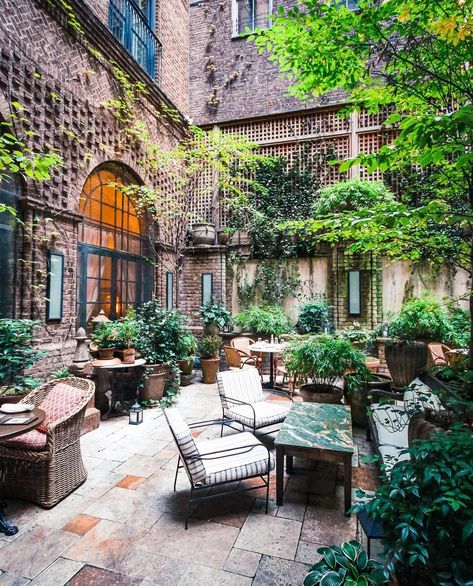 New York Courtyard, Library Hotel Nyc, Greenwich Hotel Nyc, Boutique Hotels New York, Hotel Chelsea Nyc, Library Hotel, Carlyle Hotel, Greenwich Hotel, Terrace Hotel