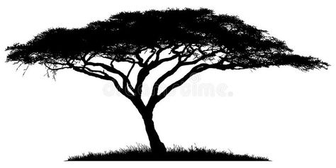 Silhouette of the tree-acacia. Silhouette of acacia wood-African savannah , #Affiliate, #acacia, #tree, #Silhouette, #savannah, #African #ad African Trees Drawing, African Tree Silhouette, Jungle Silhouette, Savannah Tree, Safari Silhouette, Africa Trees, Africa Drawing, Tree Silhouette Tattoo, Africa Tattoos