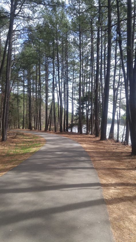 Lake Johnson Park Trail in Raleigh, NC: A paved loop around the lake and a series of natural wooded paths through woodlands. #trails #trail #nature #beautiful #LakeJohnson #lake #hike #hiking #Raleigh #outdoors #woodlands #photography #naturephotography Nature, Lake Johnson Raleigh, Trail Walk Aesthetic, Woodlands Photography, Rosy Maple Moth, List Of Cities, Vision Board Images, Walking Trail, Lifestyle Board