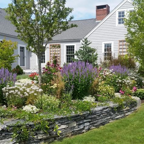 Traditional Farmhouse Landscaping, Farmhouse Cottage Landscaping, Modern Farmhouse Gardens, Country Cottage Landscaping Front Yards, Farmhouse Exterior Flowers, Country Garden Front Yard, Classic New England Landscaping, New England Native Landscaping, Historic Home Landscaping