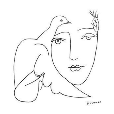 Dove Sketches, Picasso Line Drawing, Picasso Dove, Picasso Sketches, Line Drawing Woman, Picasso Drawing, Pablo Picasso Art, Feminine Wall Art, Picasso Art