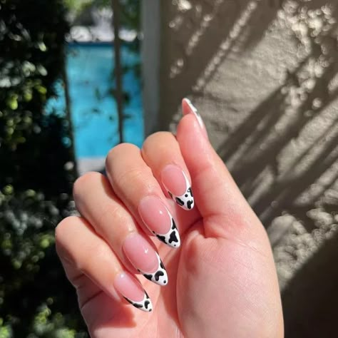 Cow Nail Designs, Lilac Highlights, Hand Hearts, Cow Print Nails, Fun Manicure, Nails Pedicure, Cow Nails, Purple Cow, Cow Face