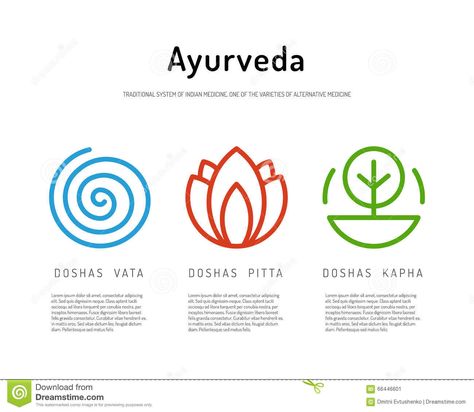 Ayurveda body types 03 stock illustration. Illustration of meditation - 66446601 Ayurveda Illustration, Ayurveda Dosha, Dosha Quiz, Vata Pitta Kapha, Pitta Kapha, Vata Pitta, Ayurveda Yoga, Element Symbols, Harmony With Nature