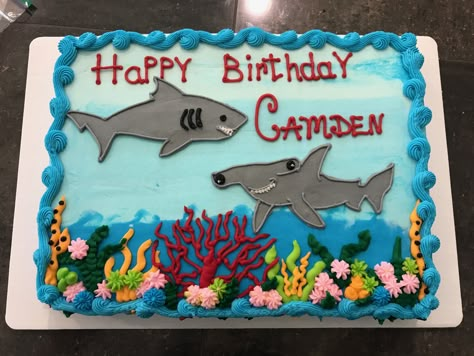 Shark Birthday Sheet Cake, Shark Week Cake Ideas, Shark Sheet Cake, Shark Birthday Party Cake, Shark Cake Ideas, Shark Theme Cake, Shark Themed Cakes, Piping Ideas, Shark Cakes