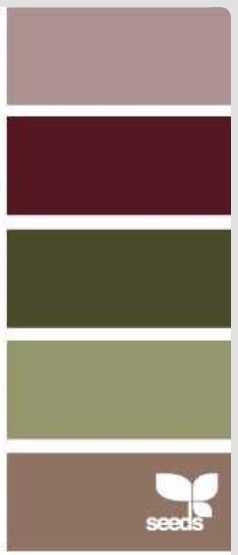 Maroon and earth tone color palette                                                                                                                                                                                 More Maroon And Green Interior Design, Burgundy Olive Color Palette, Maroon Pairing Color, Color Pallet With Maroon, Olive And Burgundy Living Room, Wine Colored Couch Living Room Ideas, Blue Green And Burgundy Living Room, Brown And Maroon Living Room, Green And Maroon Color Palette