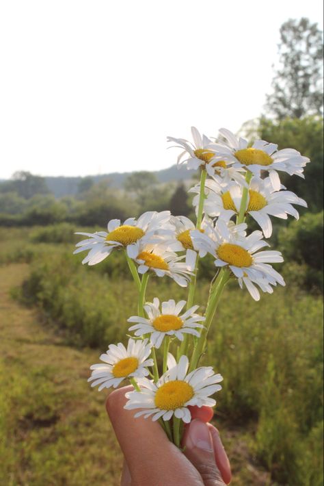 wild flowers aesthetic granola girl hippie aesthetic flowers summer aesthetic boho Boho Playlist Covers, Boho Lifestyle Aesthetic, Pacifica Southeast, Wild Girl Aesthetic, Boho Girl Aesthetic, Boho Summer Aesthetic, Wild And Free Aesthetic, Wild Flowers Aesthetic, Modern Hippie Aesthetic