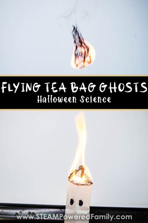 Tea Bag Experiment, Tea Bag Ghost Experiment, Flying Tea Bag Ghosts, Fire Experiments For Kids, Fire Experiment, Heat Transfer Science, Halloween Experiments, Fire Science, Homeschool Science Experiments