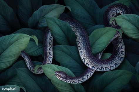 Leafy Background, Instagram Story Background, Snake Images, Snake Texture, Snake Painting, Pretty Snakes, Snake Wallpaper, Flamingo Wallpaper, Nagisa Shiota