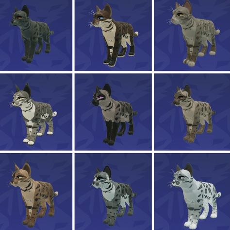 Evil Wcue Morph Ideas, Halloween Wcue Morph Ideas, Halloween Wcue Morphs, Wcue Morph Ideas Brown, Morph Inspo Warrior Cats, Wcue Morph Ideas Calico, Wcue Morph Ideas Shorthair Simple, Warrior Cats Roblox Morphs Ideas, Wcue Morph Ideas Tom