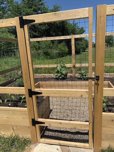 Raised Bed Garden Fencing Ideas, Covered Garden Boxes, Small Gated Garden, Diy Deer Proof Raised Garden Beds, Raised Fenced Garden Beds, Deer Fenced Garden, Backyard Garden With Fence, Vegetable Garden Deer Proof, Raised Bed With Fence