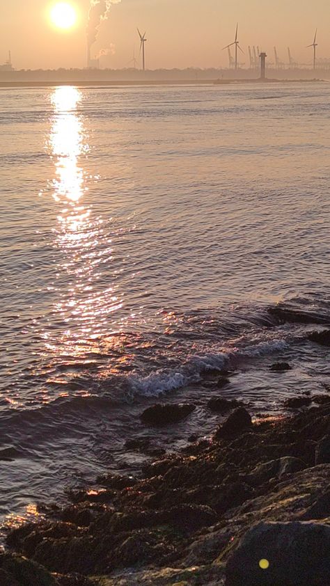 Holland Beach, Sunset At The Beach, Beach Stones, North Sea, Beautiful View, Beautiful Sunset, Beautiful Views, At The Beach, Holland