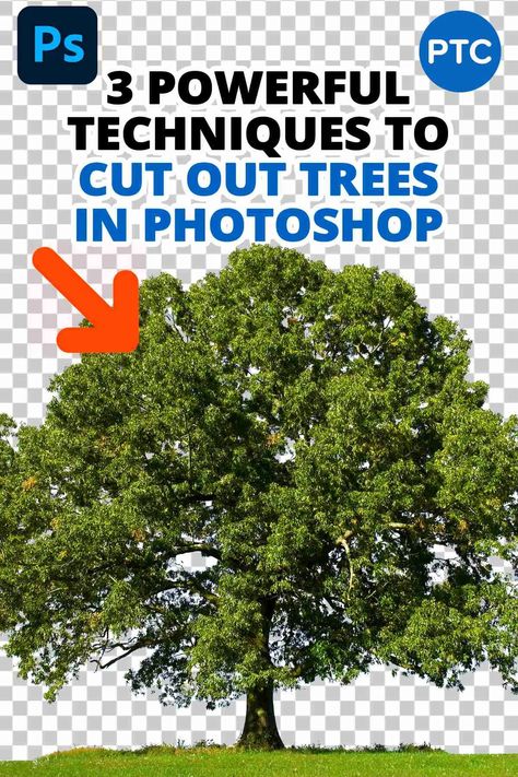 In this Photoshop tutorial, you will learn how to cut out trees in Photoshop using three powerful techniques! 💯 Photoshop Tutorial Text, Photoshop Training, Tree Photoshop, Photoshop Techniques, Photoshop Video, Photoshop Tutorial Photo Editing, Retouching Photoshop, Background Remove, Photoshop Tutorial Design