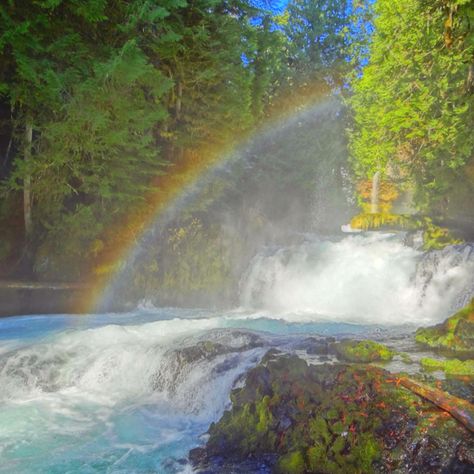 Waterfall Rainbow, Milk Way, Rainbow Waterfall, Rainbow Water, Gods Creation, Beautiful Waterfalls, Story Book, Islamic Pictures, Coming Of Age