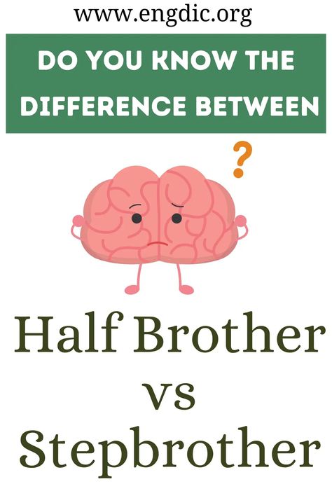 Half Brother vs Stepbrother Vocabulary, Brother Definition, Silly Quotes, Confusing Words, Half Brother, Family Dynamics, Parts Of Speech, Genetic, A Child