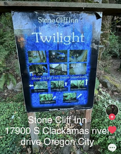 Twilight Trip, Forks Washington Twilight, Forks Twilight, Twilight Movie Scenes, Twilight Scenes, Twilight Aesthetic, Silver Falls State Park, Washington State Travel, Ecola State Park