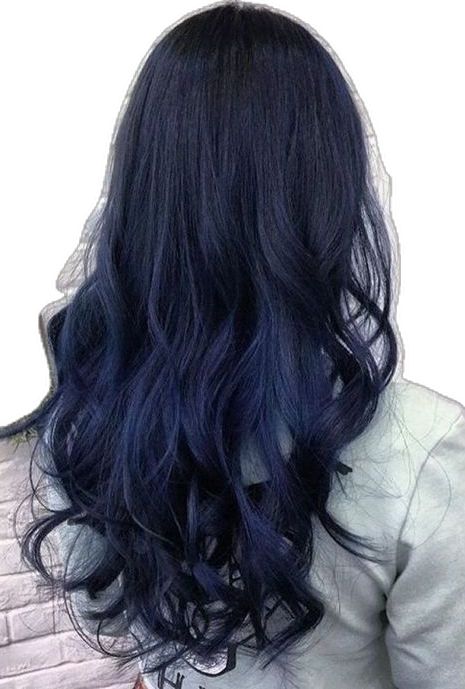 Dark Blue Hairstyles, Blue Hairstyles, Black To Blue Ombre, Blue Black Hair Color, Dark Ombre Hair, Navy Hair, Blue Black Hair, Balayage Blond, Dark Blue Hair