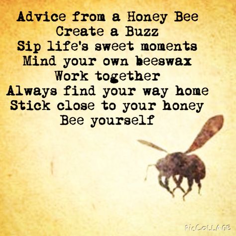 ≗ The Bee's Reverie ≗  Bee Advice Bee Quotes, Magia Das Ervas, I Love Bees, Under Your Spell, Bee Inspired, Bee Decor, Bee Art, Busy Bee, Save The Bees