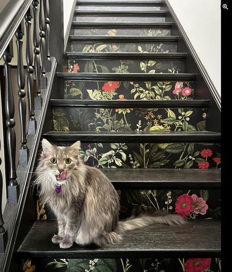 Maximalist Stairway Decor, Entryway Floor Ideas, Cottagecore Stairs, Moody Staircase, Dark Staircase, Black Staircase, Wallpaper Stairs, Stairs Renovation, Black Stairs