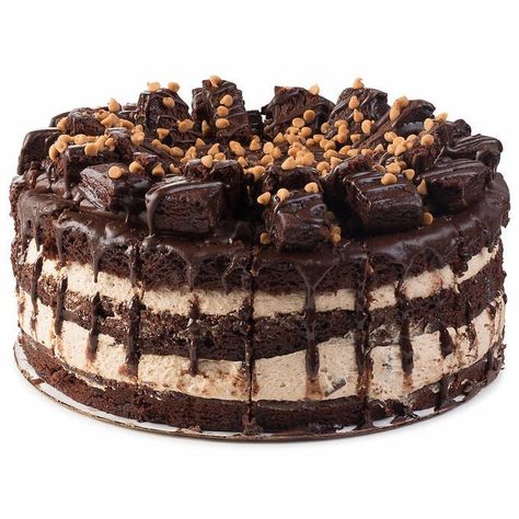 Costco Desserts, Chocolate Bar Cakes, Peanut Butter Chocolate Cake, Butter Chocolate Cake, Hummingbird Cake Recipes, Fruit Cake Recipe, Chef Ideas, Peanut Butter Mousse, Chocolate Peanut Butter Cake