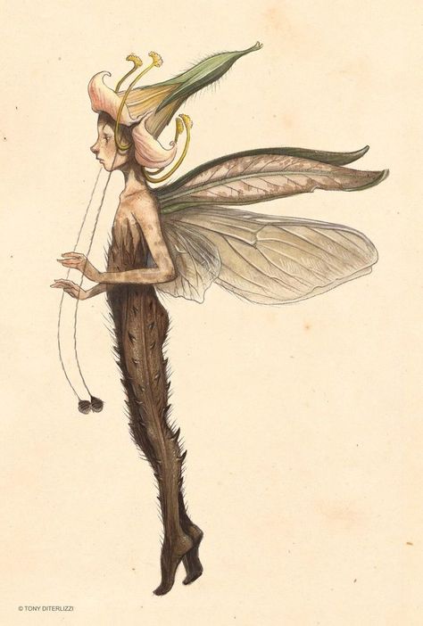 The Faerie Folk Sprite Mythical Creature, Elves Mythology, Sprite Creature, Fairy Drawing Reference, Tattoo Mythical Creatures, Fairy Sketches, Vintage Fairy Art, Sprite Fairy, Fae Art