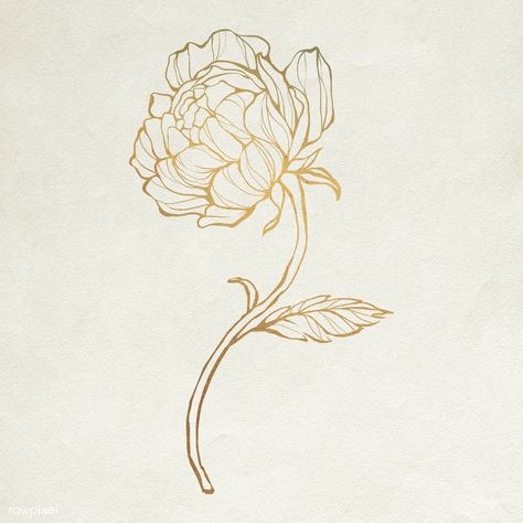 Gold flower outline | premium image by rawpixel.com / nunny Drawing Gold, Rose Outline, Gold Drawing, Leaf Outline, Poster Design Layout, Handy Wallpaper, Birth Flower Tattoos, Flower Outline, Transparent Flowers