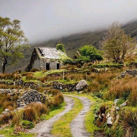 Happy St. Patrick's Day! pic.twitter.com/rfnK193whx Irish Landscape Aesthetic, Irish Nature, Irish Scenery Landscapes, Beautiful Ireland Landscapes, Ireland Aesthetic Irish Cottage, Paint Therapy, Kerry Ireland, County Kerry, Irish Cottage